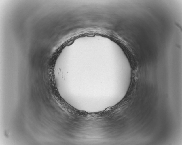 X0000099401496200805291159