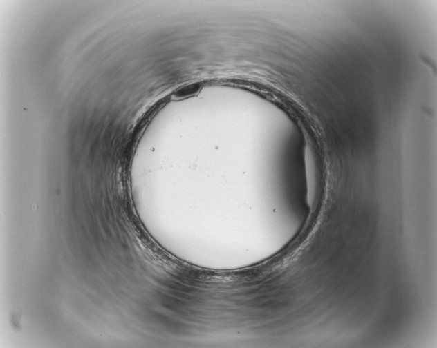 X0000099401497200805291159