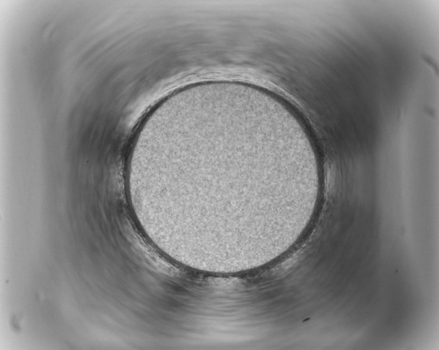 X0000099401498200805291159