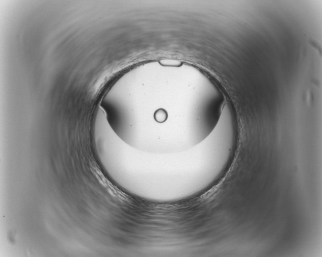 X0000099401499200805291159