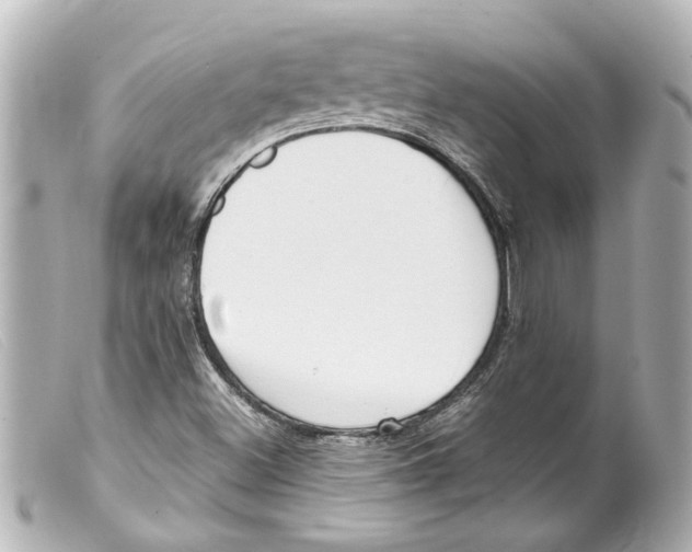 X0000099401500200805291159