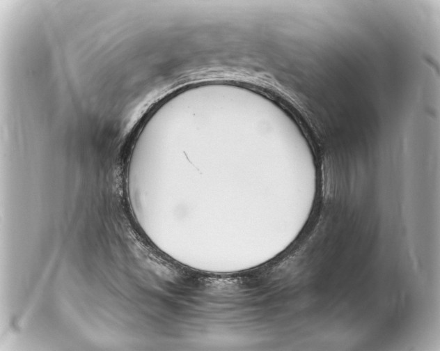 X0000099401501200805291159