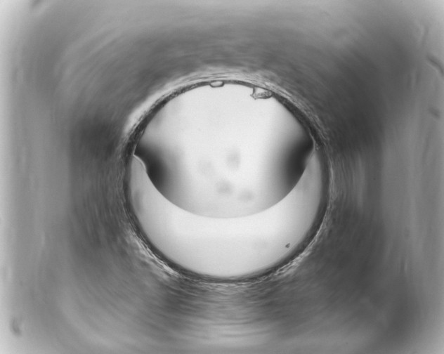 X0000099401502200805291159