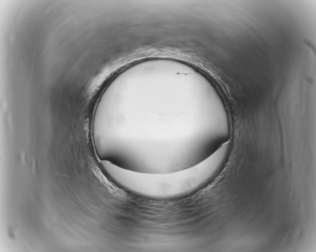 X0000099401503200805291159