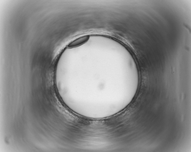 X0000099401504200805291159