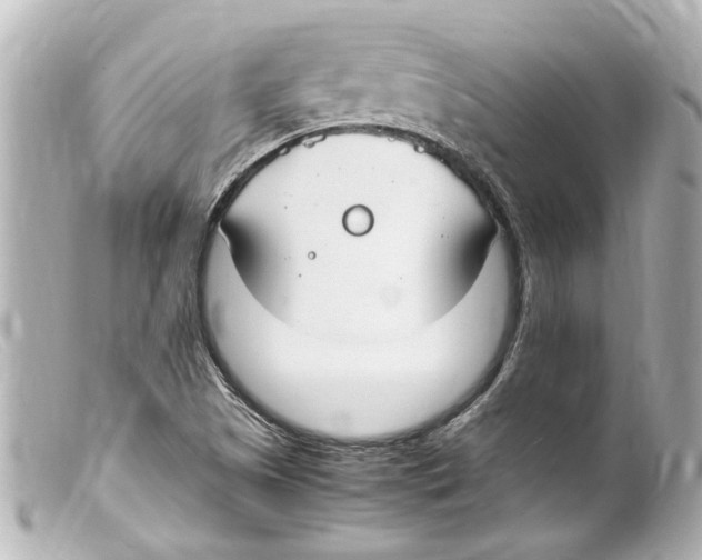 X0000099401505200805291159