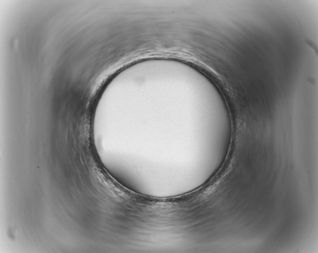 X0000099401506200805291159