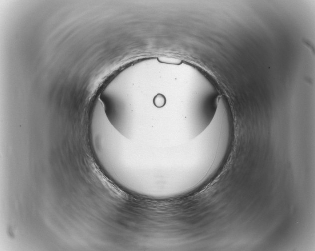 X0000099401507200805291159