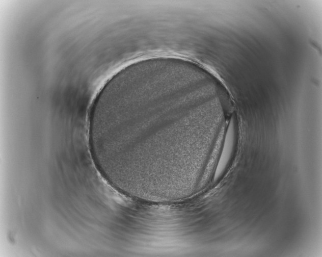 X0000099401508200805291159