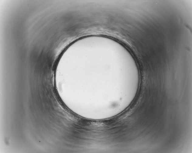 X0000099401509200805291159