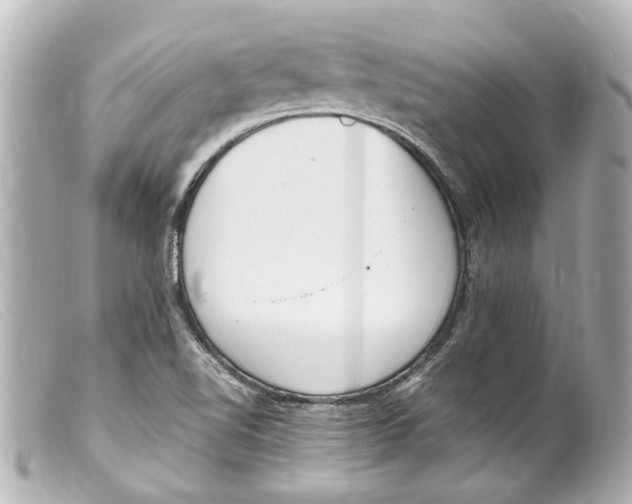 X0000099401510200805291159