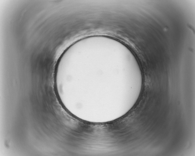 X0000099401512200805291159