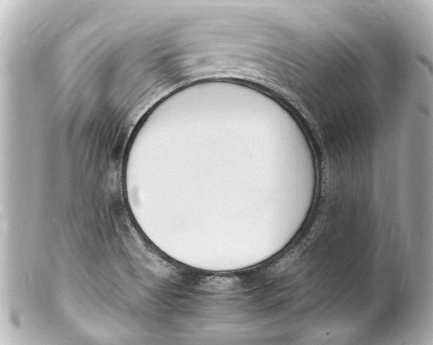 X0000099401513200805291159