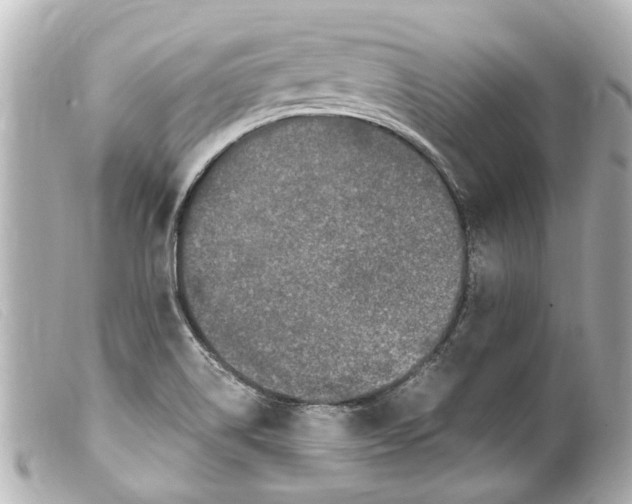 X0000099401514200805291159