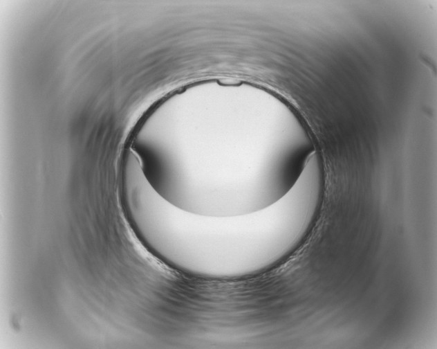 X0000099401515200805291159