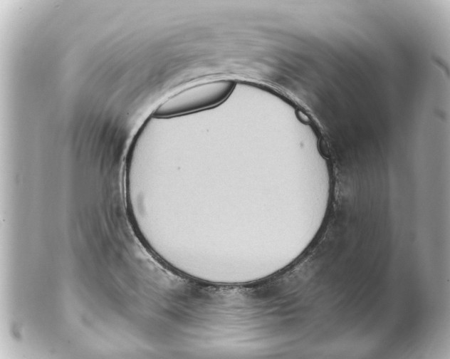 X0000099401516200805291159