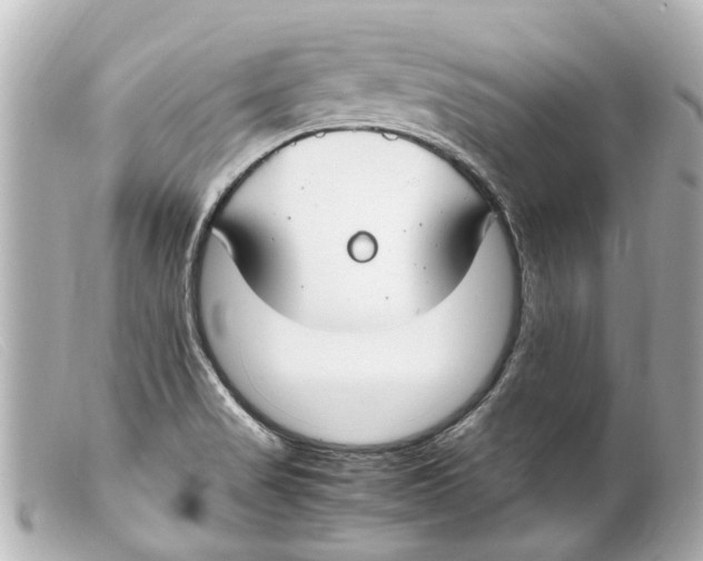 X0000099401517200805291159