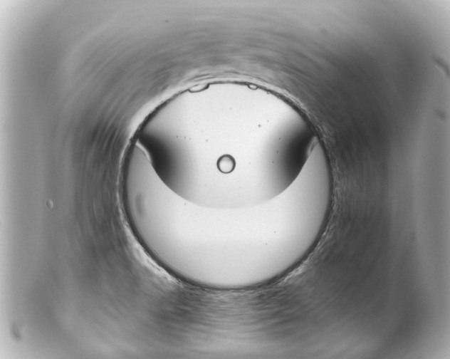 X0000099401518200805291159