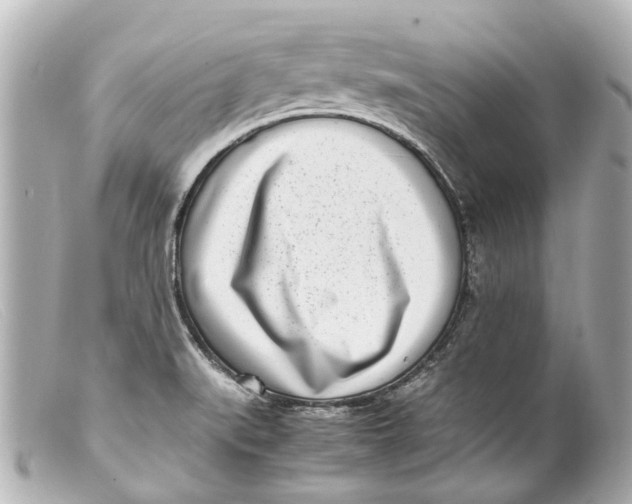 X0000099401519200805291159