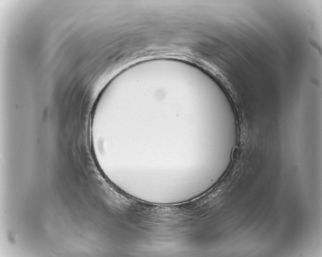 X0000099401520200805291159