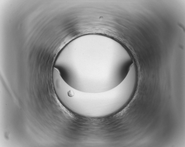 X0000099401521200805291159