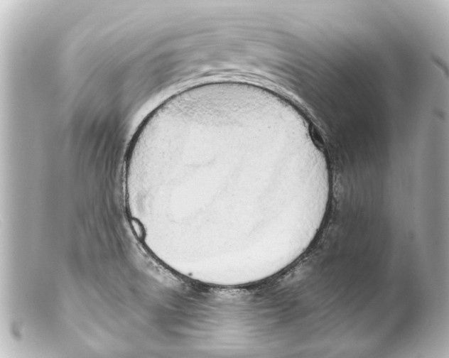 X0000099401522200805291159