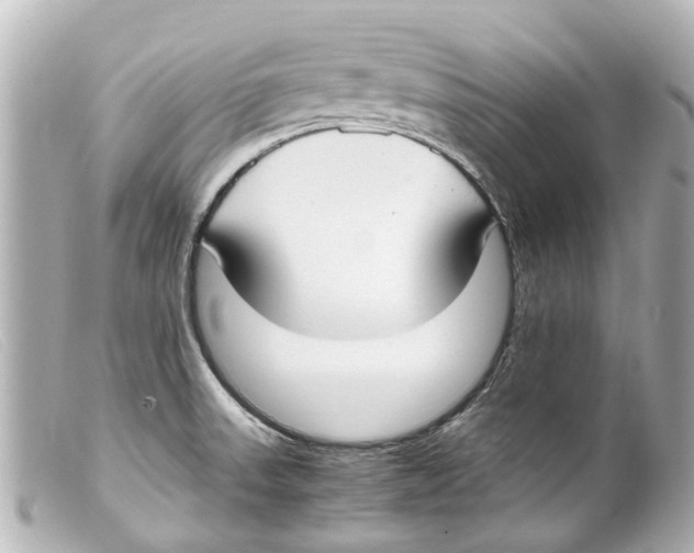 X0000099401523200805291159