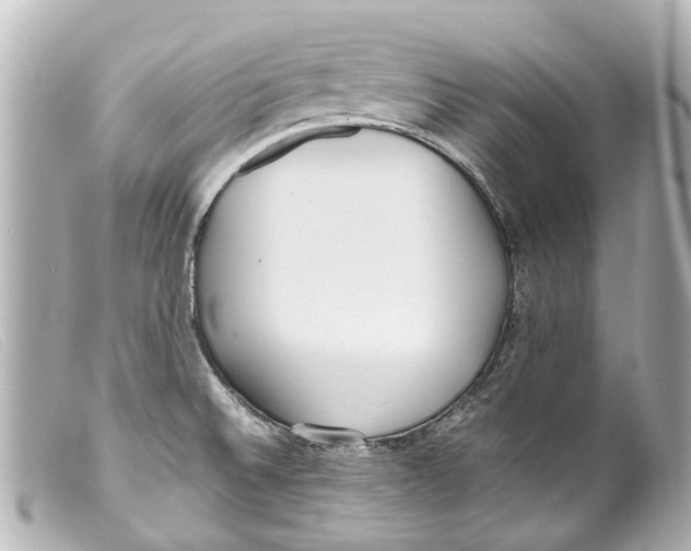 X0000099401524200805291159