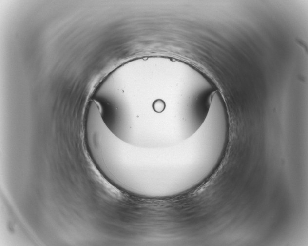 X0000099401525200805291159