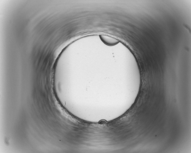 X0000099401526200805291159