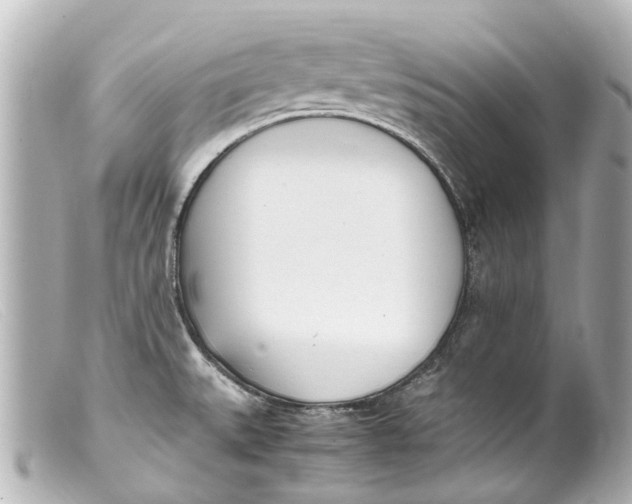 X0000099401527200805291159