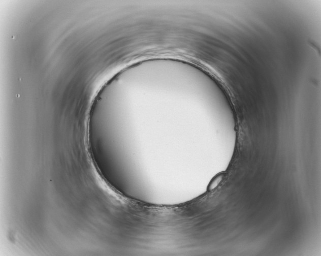 X0000099401528200805291159