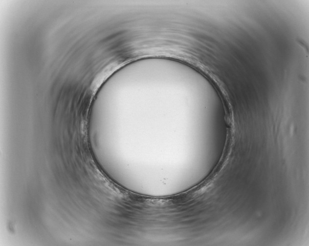 X0000099401529200805291159