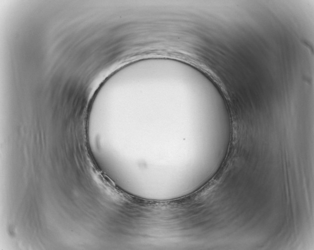 X0000099401530200805291159