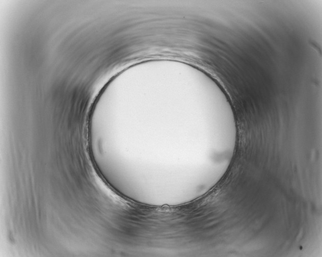 X0000099401531200805291159