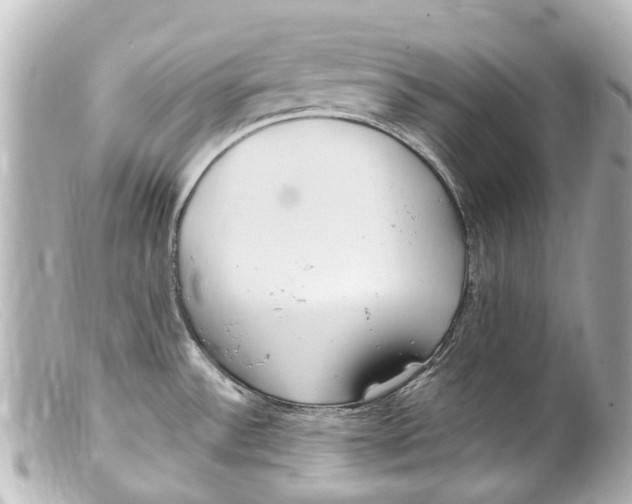 X0000099401532200805291159