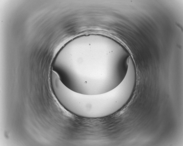 X0000099401533200805291159