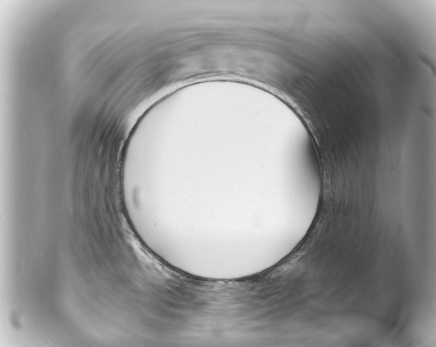 X0000099401534200805291159