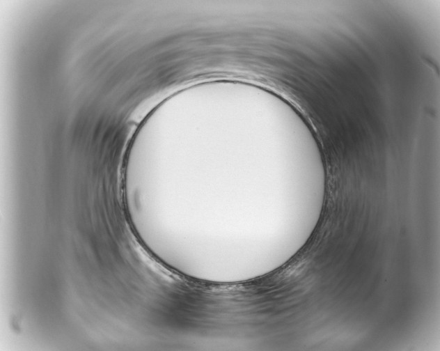 X0000099401535200805291159