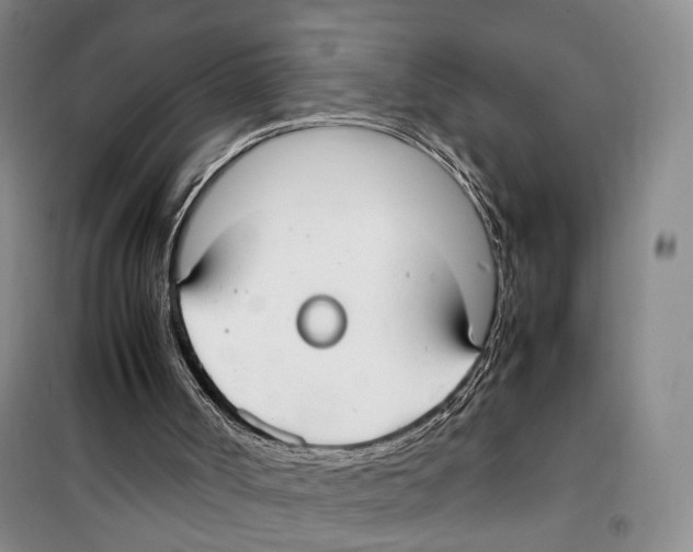 X0000099400002200806051218