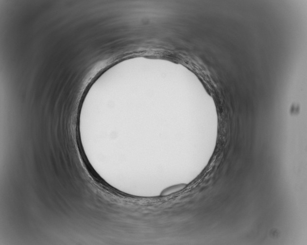 X0000099400003200806051218