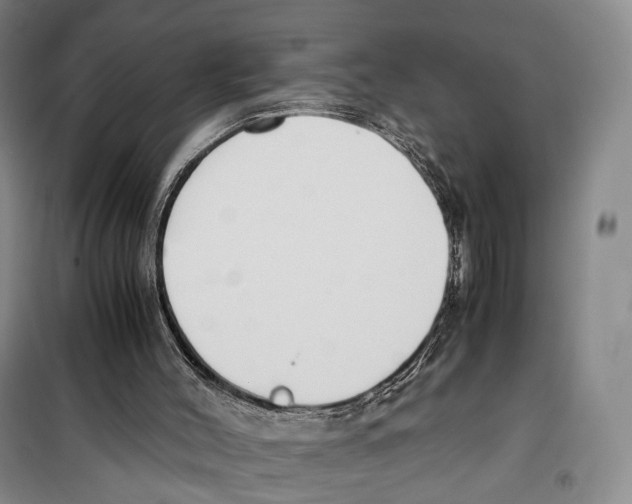X0000099400004200806051218