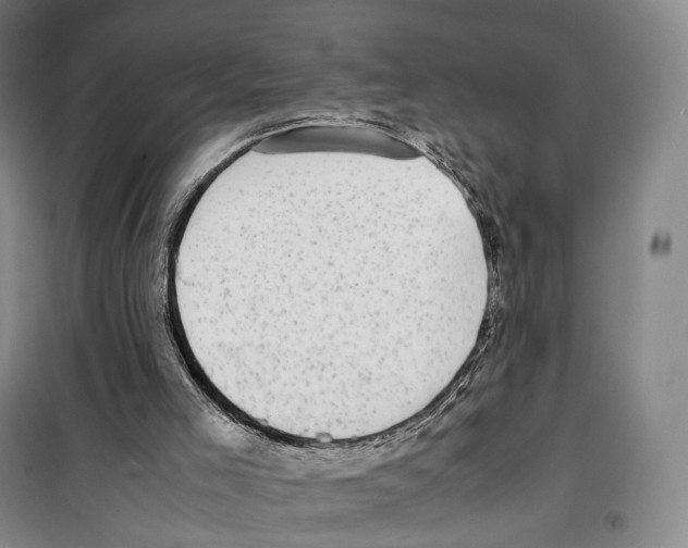 X0000099400005200806051218