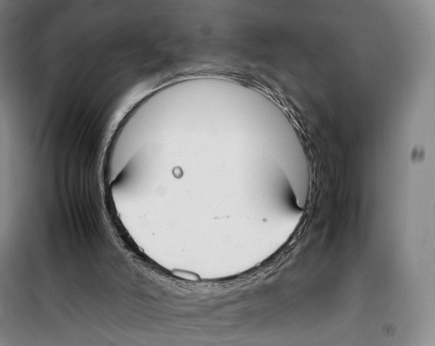 X0000099400006200806051218