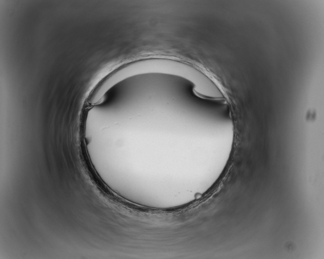 X0000099400008200806051218