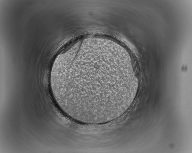 X0000099400009200806051218
