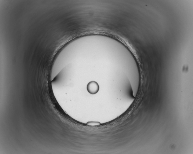 X0000099400010200806051218