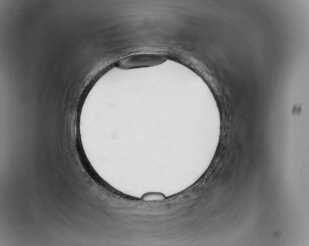 X0000099400011200806051218