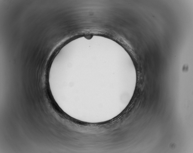 X0000099400012200806051218