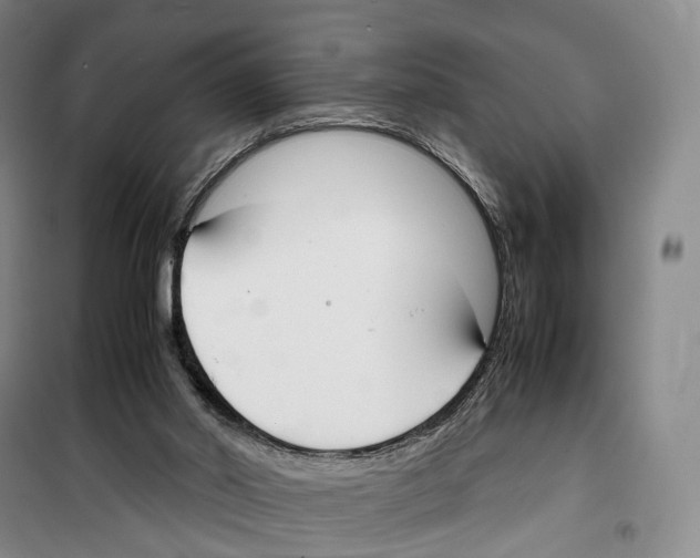 X0000099400014200806051218